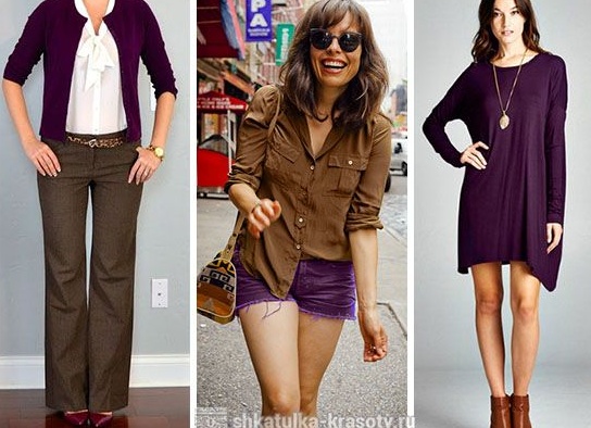 Советы по сочетанию сливового цвета с другими оттенками